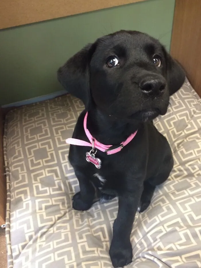 Baylee Is A Bit Skeptical