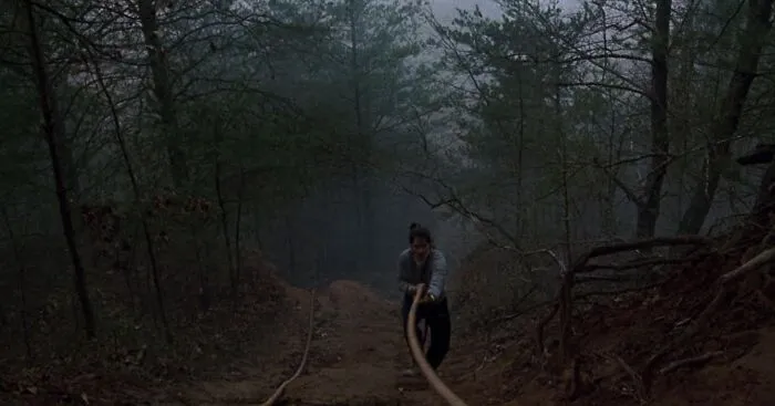 The Silence Of The Lambs