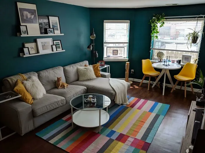 Cozy living room with colorful rug, gray sofa, and modern decor, featuring artwork and a cat.