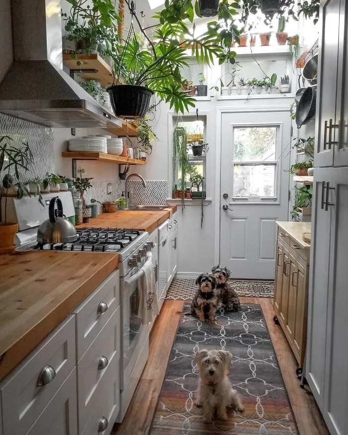 Maximize A Galley Kitchen