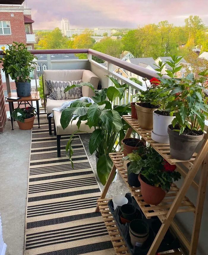Little Balcony Garden
