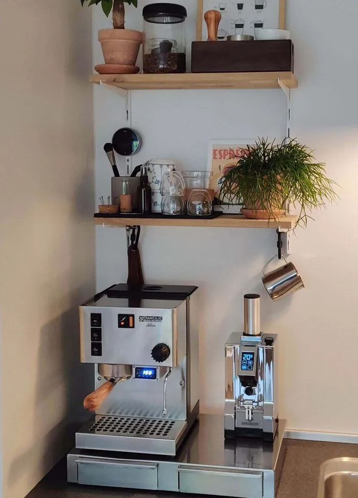 Home decoration idea with a sleek coffee machine setup on a modern kitchen counter, featuring plants and stylish shelving.