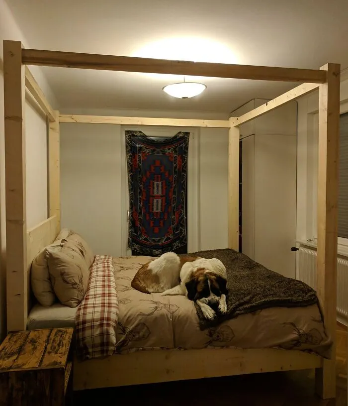 Cozy home decoration idea featuring a rustic canopy bed with a dog resting on it, complemented by a colorful wall hanging.