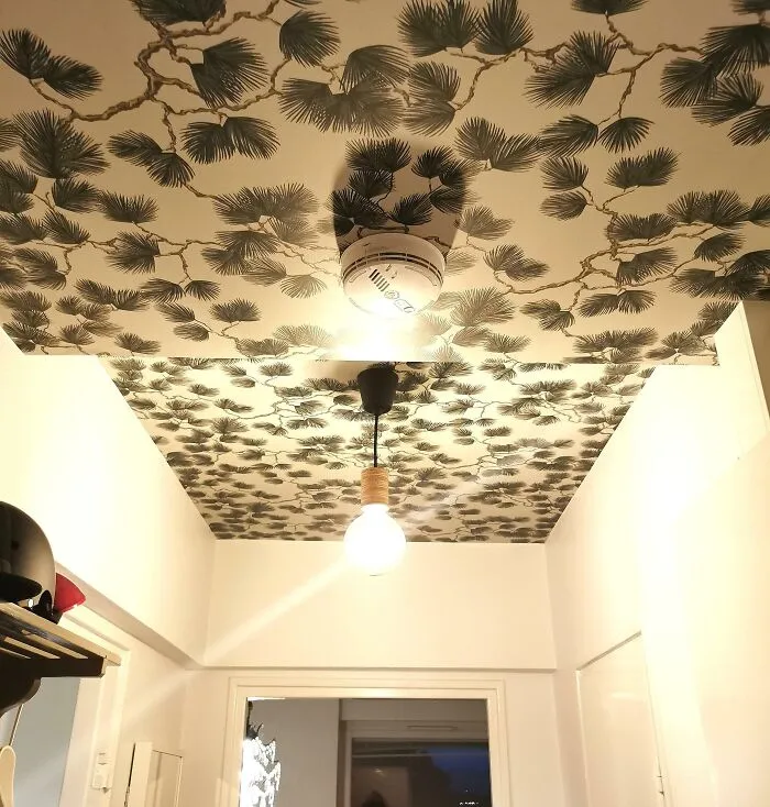 Decorative ceiling with floral wallpaper and hanging light bulb, enhancing home decoration.