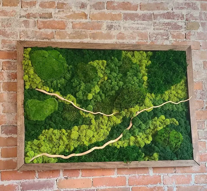 Moss Wall Decoration