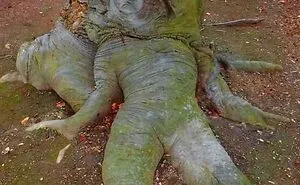 30 Pics That Might Make You Uncomfortable And Might Even Scare You