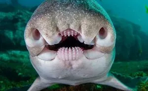 30 Pics That Might Make You Uncomfortable And Might Even Scare You