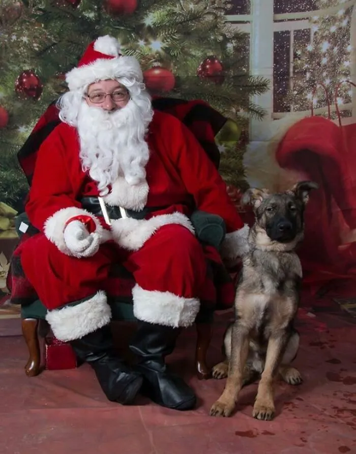 A Little Skeptical Of The Man In The Suit