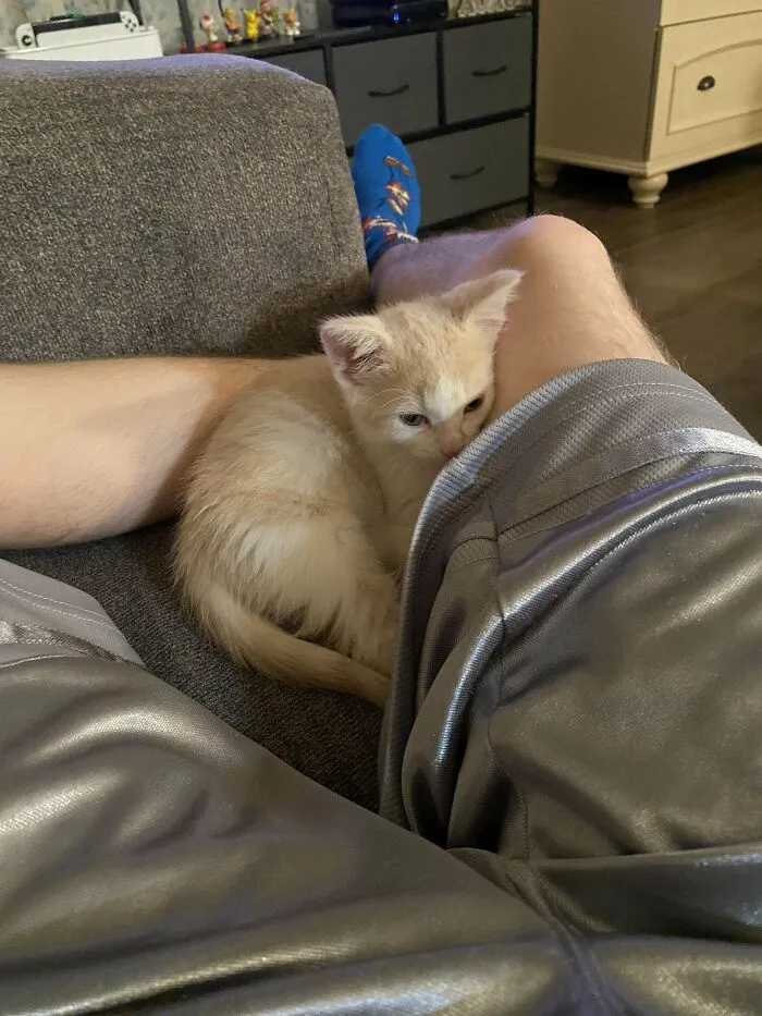 Just Got Her Today, Name Is Lily