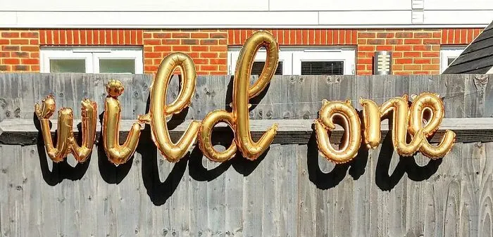 Ballons with Wild One banner