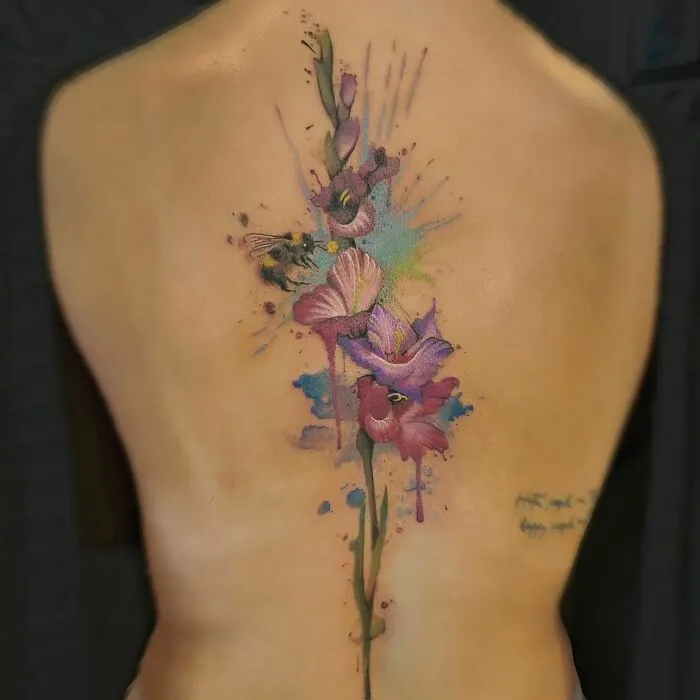 Gladiolus Flower Down The Spine