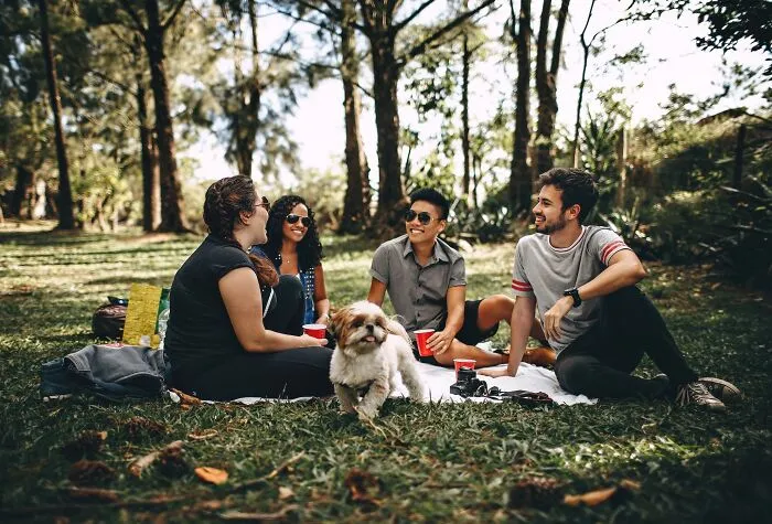 Have A Picnic In The Park