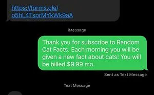 45 Satisfying Posts That Show Scammers Getting Owned