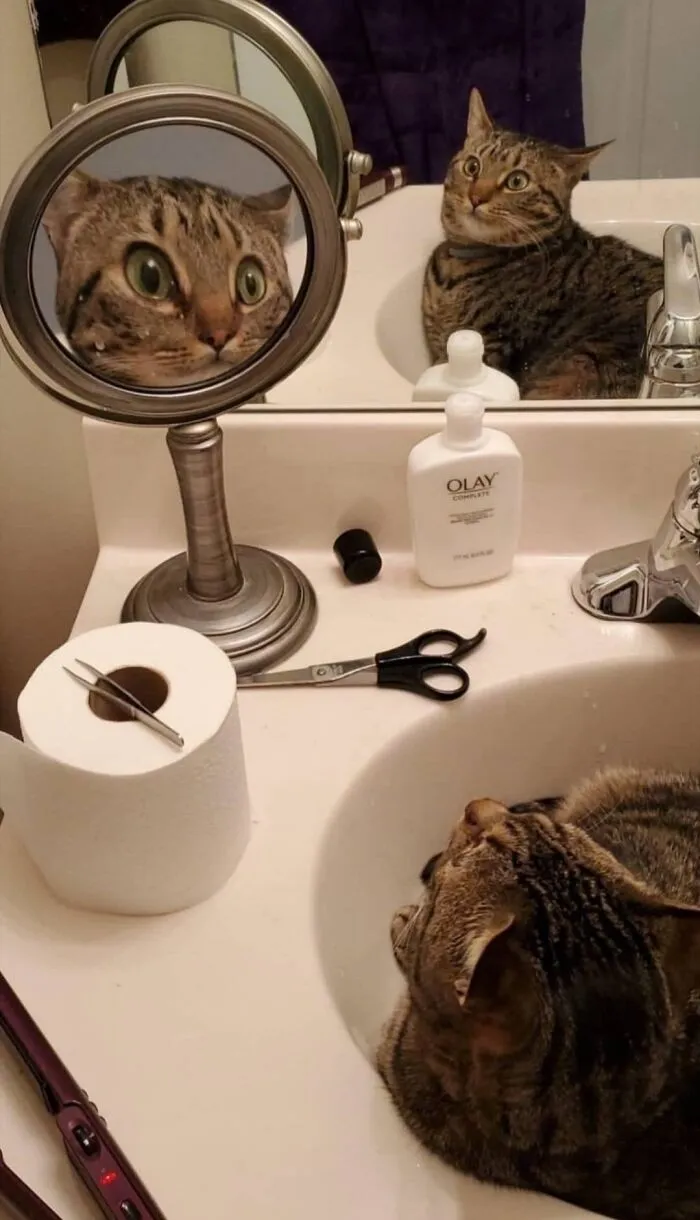 Funny Reflection