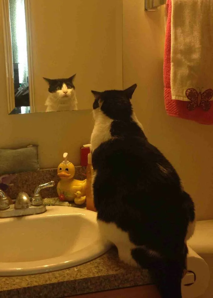 He Looked In The Mirror And His Expression Was Priceless