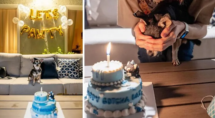 Throw A Mini Party Inside Your House
