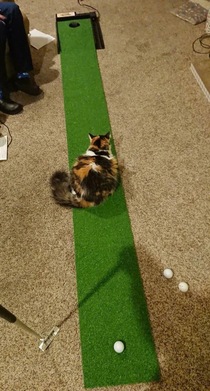 There's An Obstacle On The Green