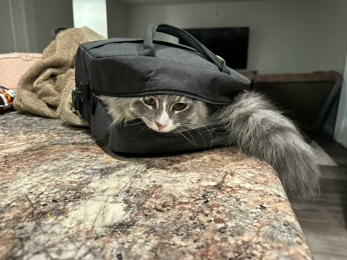 This Meal Prepping Stuff Is Easy