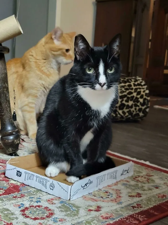 Appropriately Labeled Trap