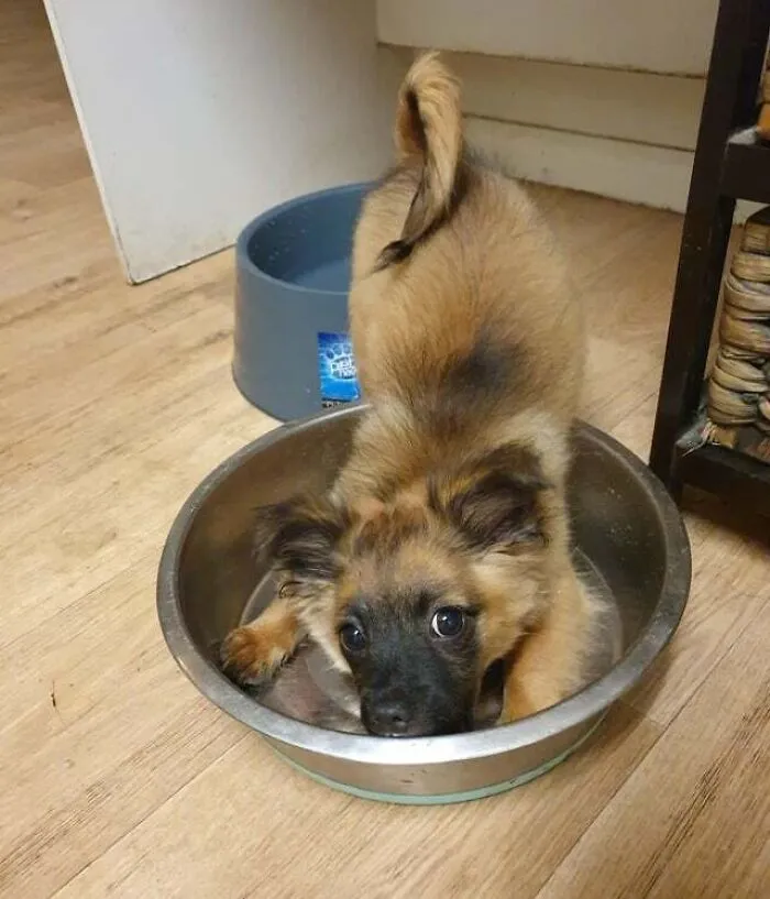 More Food! Please!?