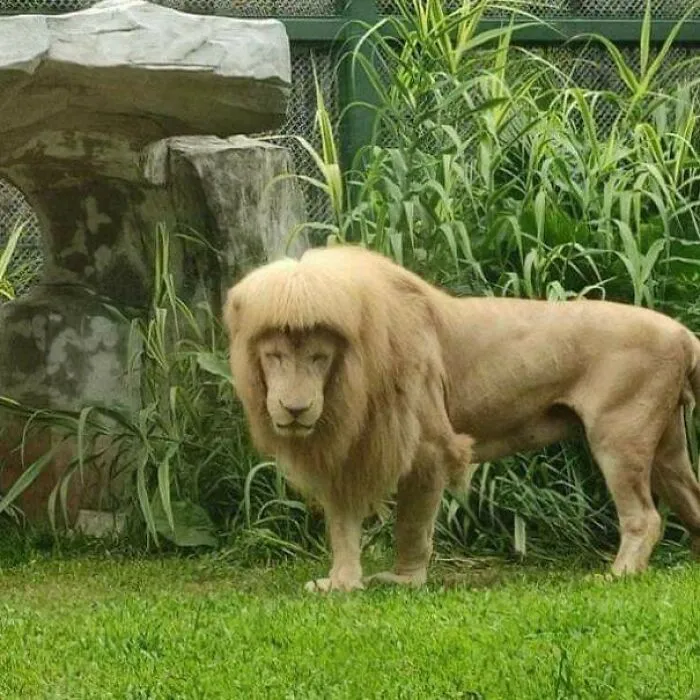Zookeeper Did Him Dirty!