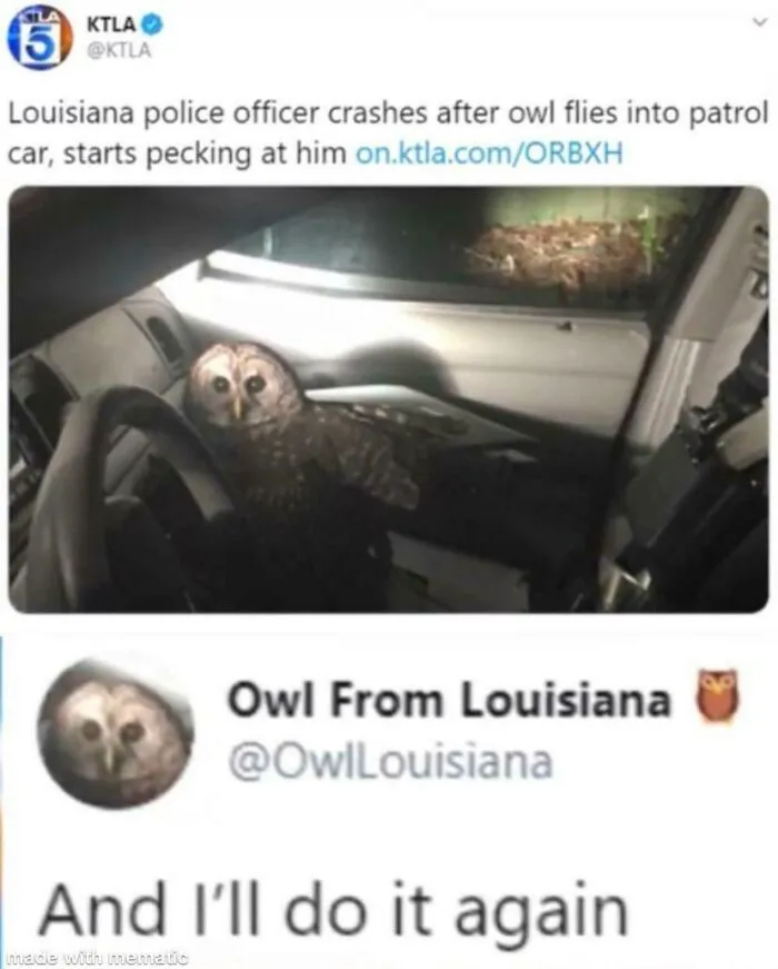 Anarchists