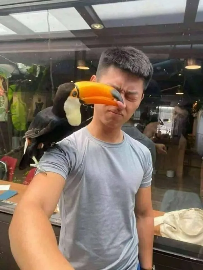Honk!