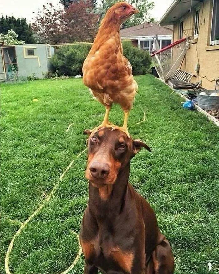 This Is My Life Now
