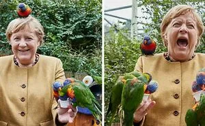 This Internet Group Shares Images Of Birds Being Jerks, Here Are The 40 Funniest Ones