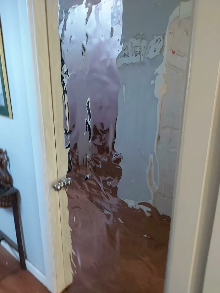 Unique looking reflective door 