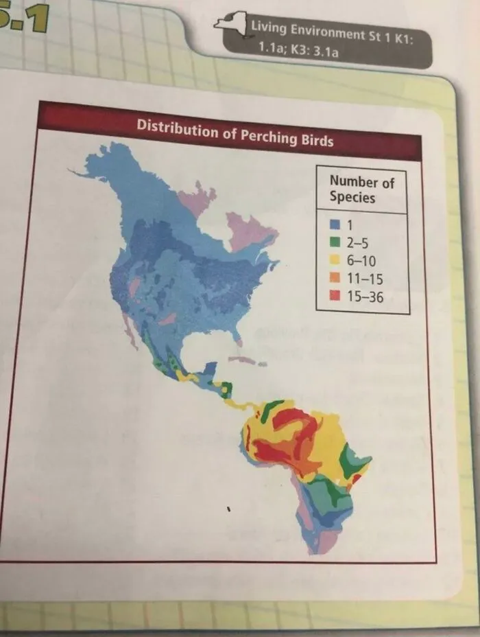 For Reasons Unknown, South America Has Completely Been Replaced By Africa