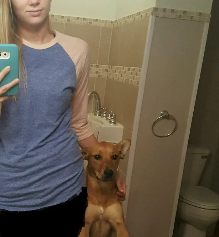 Every Morning My Wife And Dog Stare Into The Mirror Together, And My Wife Says "You Are Smart, You Are Kind, You Are Important"