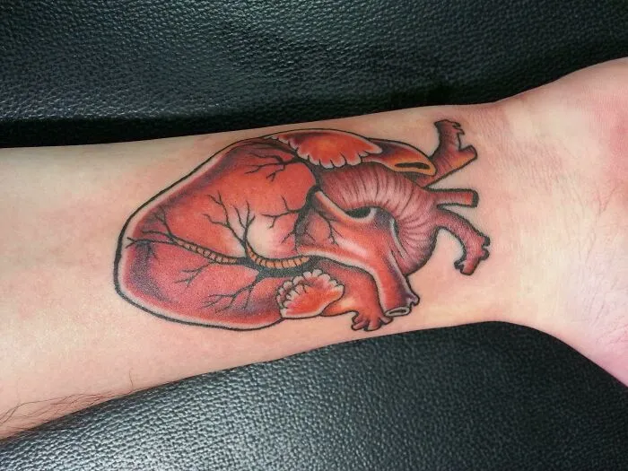 Anatomical Heart Tattoo