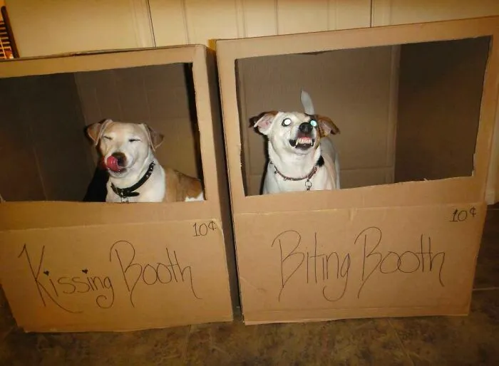 50 Of The Most ‘Blursed’ Images That Are As Blessed As They’re Cursed