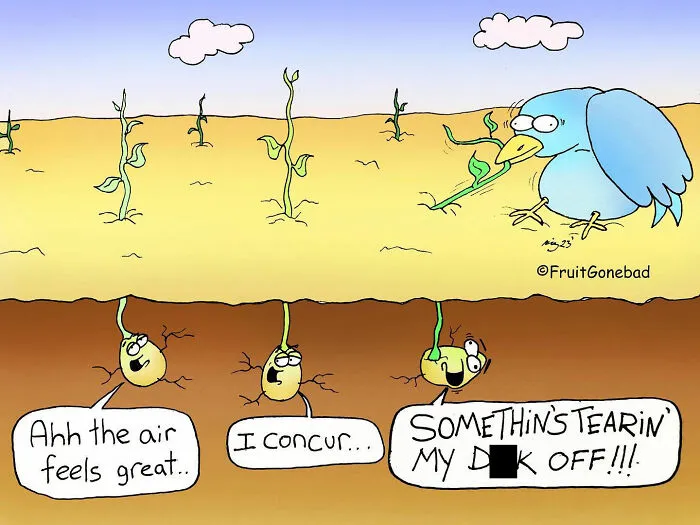 20 Slightly Inappropriate Comics By This Artist (New Pics)