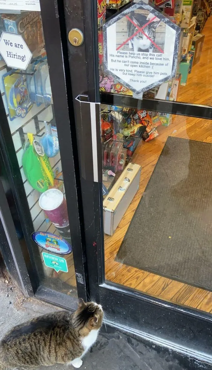 50 Of The Most ‘Blursed’ Images That Are As Blessed As They’re Cursed