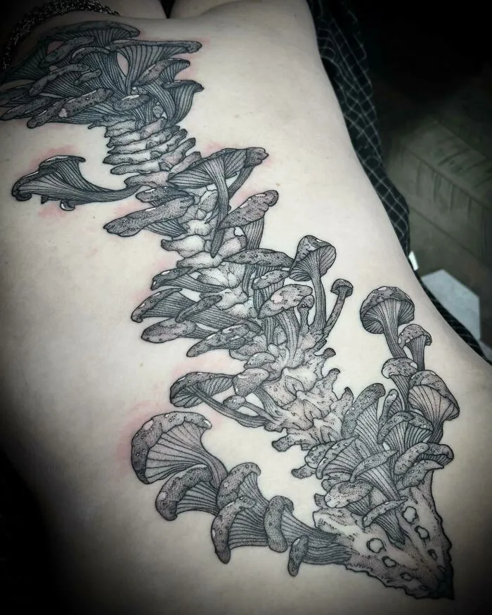 Shading Session For Spinal Column Mushroom Concept
