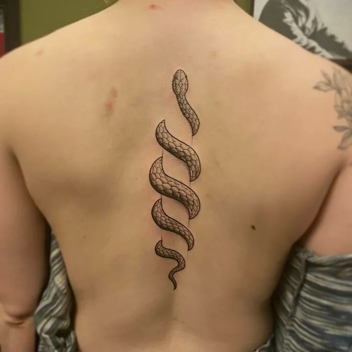 Stun Snake Spine Piece