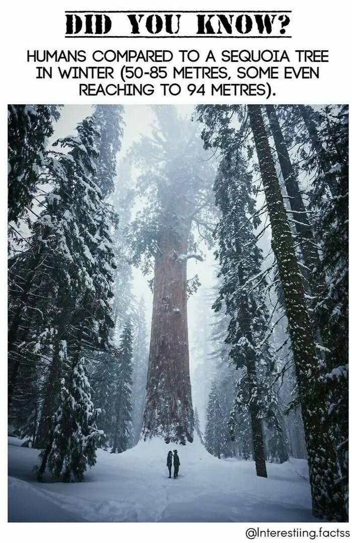 Interesting-Fascinating-Facts