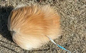 “What’s Wrong With Your Dog?”: 45 Funny Pics Of Dogs Being Goofy And Weird (New Pics)