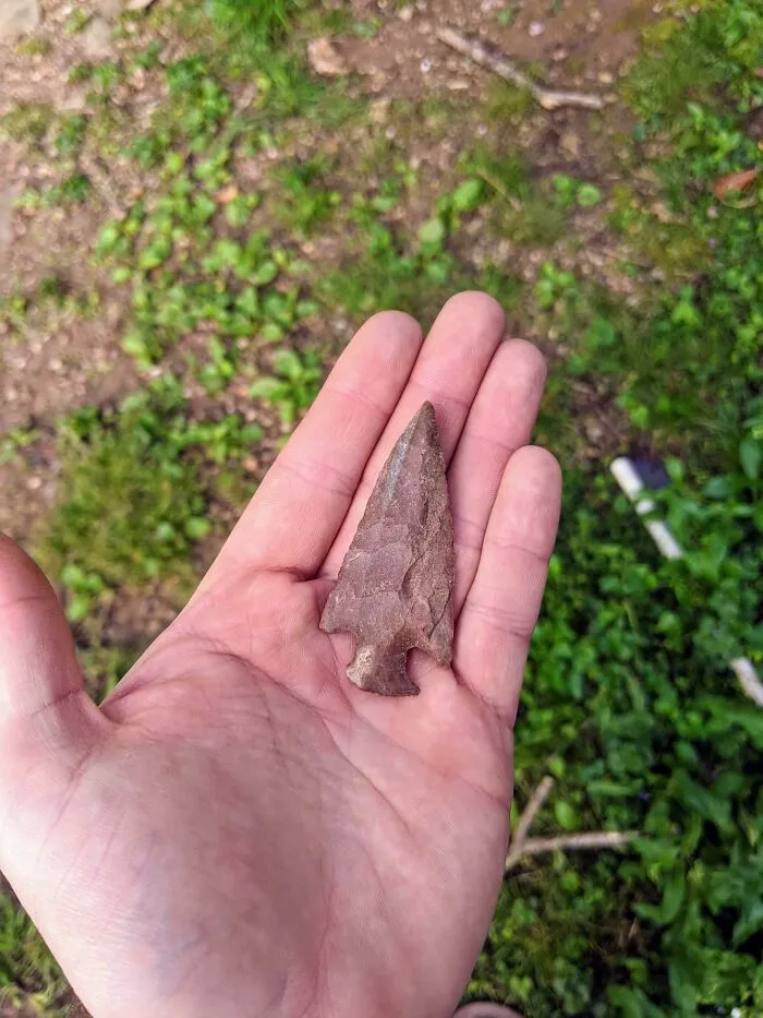 Encontrado en mi patio trasero en East Nashville, Tennessee