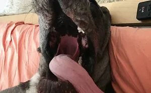 “What’s Wrong With Your Dog?”: 45 Funny Pics Of Dogs Being Goofy And Weird (New Pics)