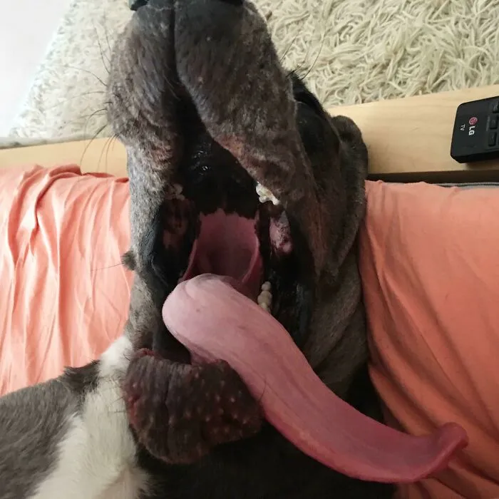 The First Thing I See When I Open My Eyes In The Morning