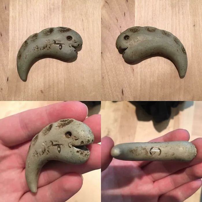 A Fish Like Object Found In A River