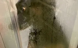 “What’s Wrong With Your Dog?”: 45 Funny Pics Of Dogs Being Goofy And Weird (New Pics)