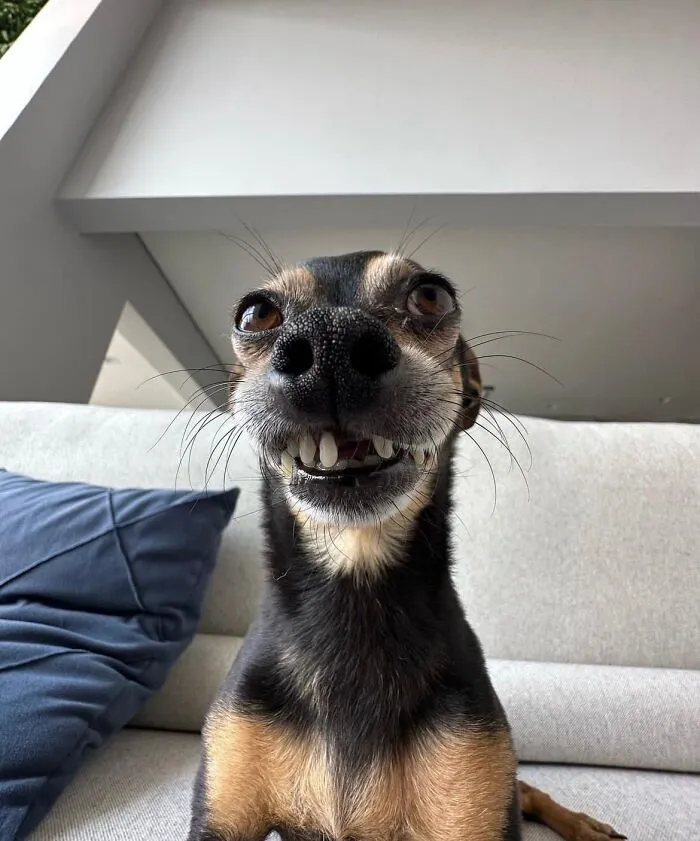 Friday!