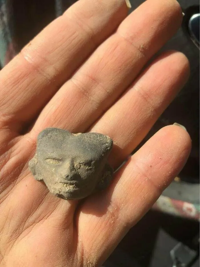 Encontrado en el lecho de un arroyo en Oak Hill, Texas. Tiene un pequeño agujero en la parte superior de la cabeza que va todo a través