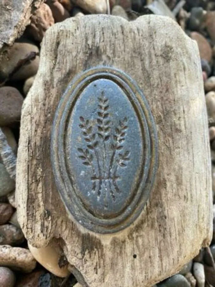 Driftwood With Metal Plaque Found On The Mississippi River Bank