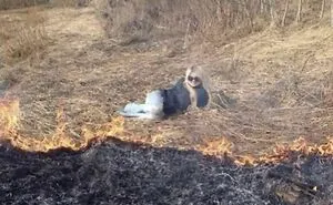 50 Ironic Pics That Perfectly Showcase The Absurdity Of Capitalism, As Shared On This Group