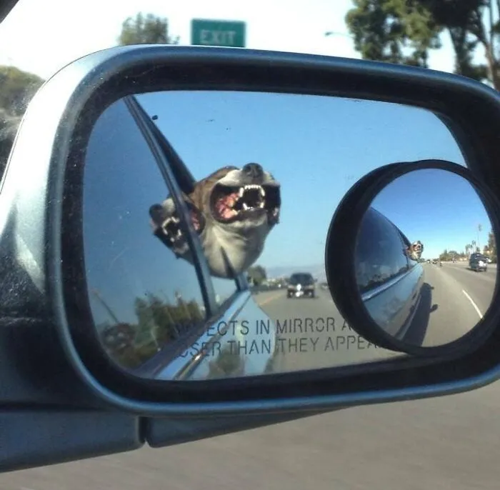 I Look Into The Side-View Mirror Of My Friends Car While She Is Driving To See This